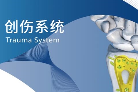 創(chuàng)傷系統(tǒng)宣傳彩頁(yè)